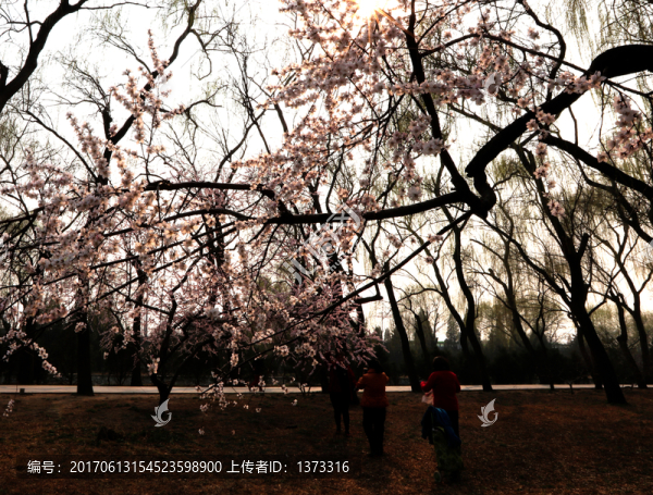 頤和園風(fēng)光