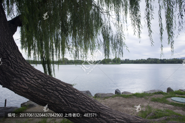 湖邊