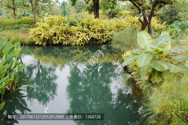 海珠濕地