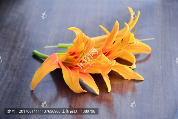 新鮮黃花菜
