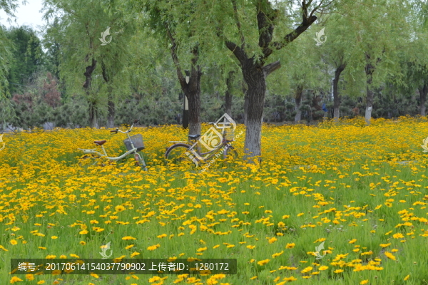 瑪格麗特