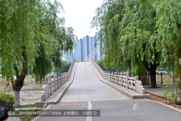 公園景觀