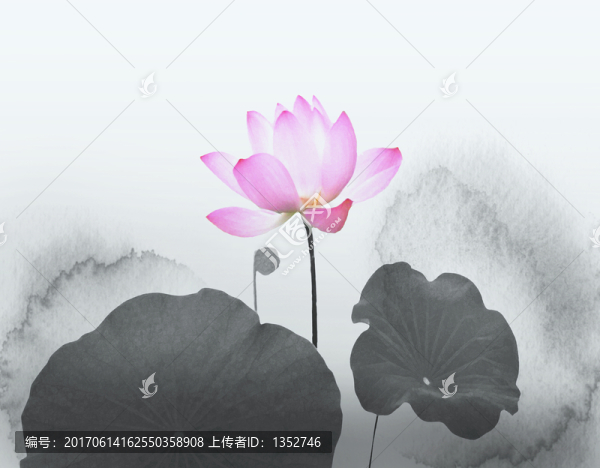 水墨荷花