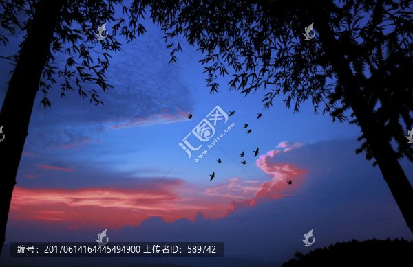 夕陽(yáng)歸