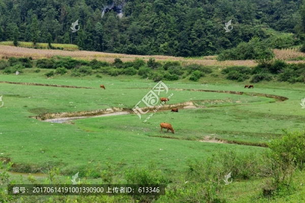 美麗田野風(fēng)景