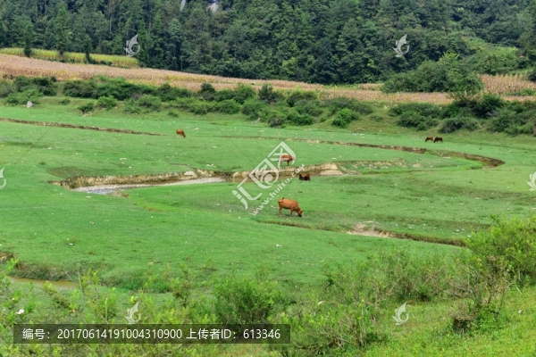 美麗田野風(fēng)景