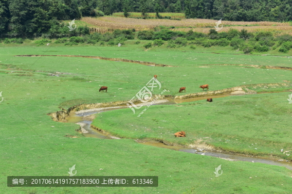 草原風(fēng)情