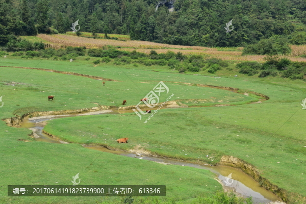 草原畜牧