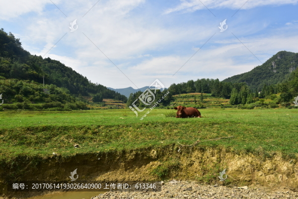 美麗草原風景