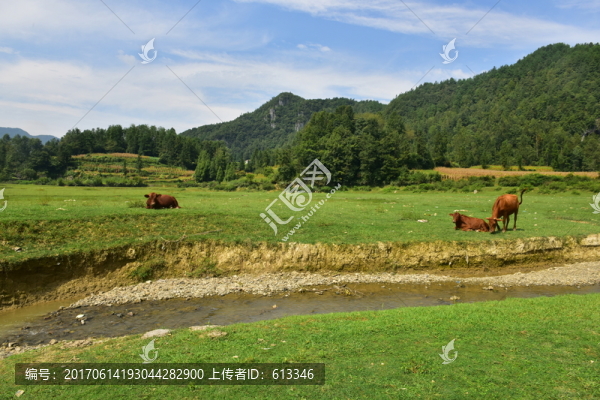 美麗草原風(fēng)景