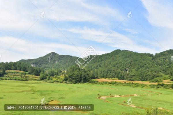 美麗田園