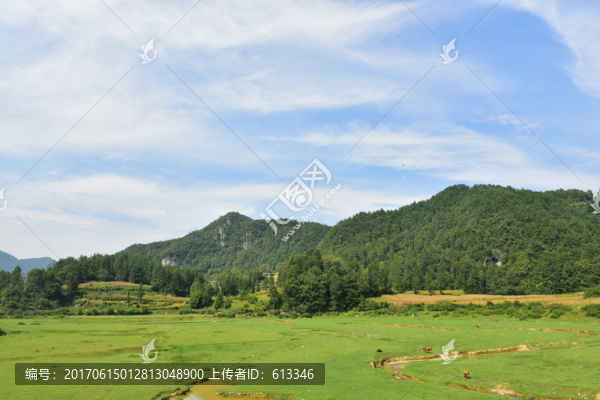 美麗田園