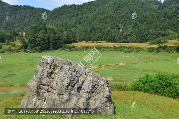 田園美麗風景