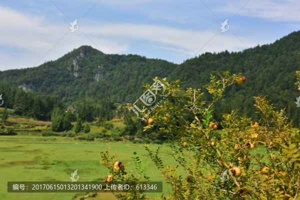 田園美麗風(fēng)景