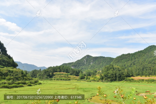 田園風(fēng)景