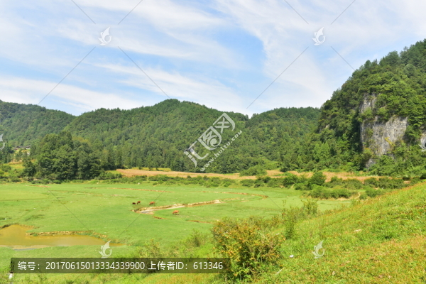 田園風(fēng)景