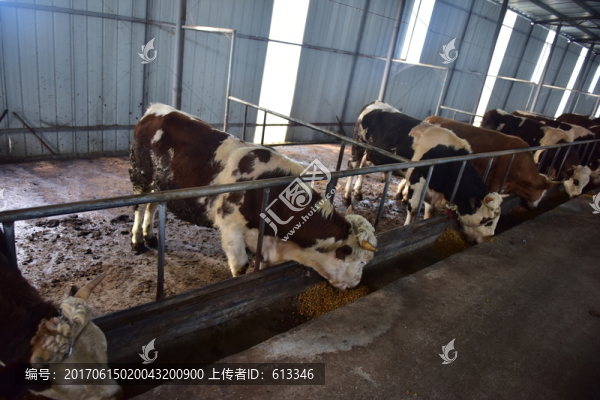 養(yǎng)殖場(chǎng)