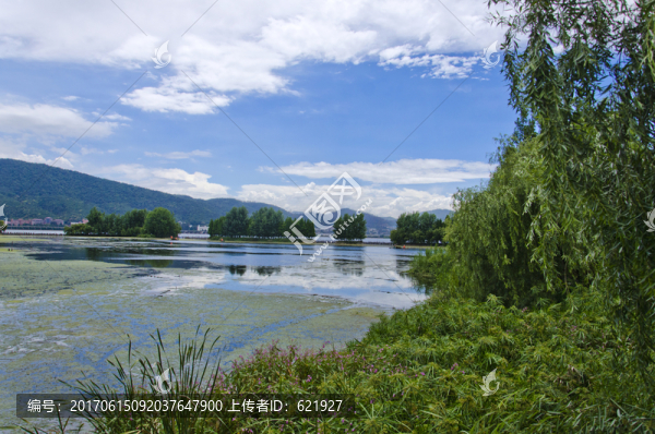 滇池草海