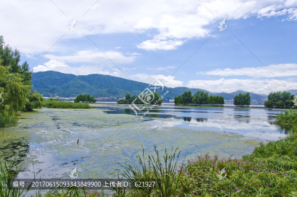 滇池草海