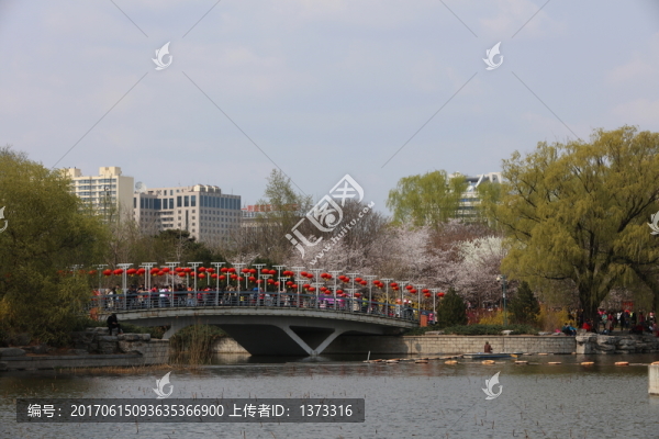 玉淵潭公園的風(fēng)光
