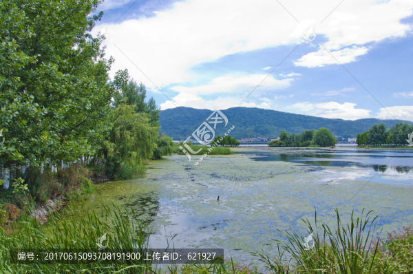 滇池草海