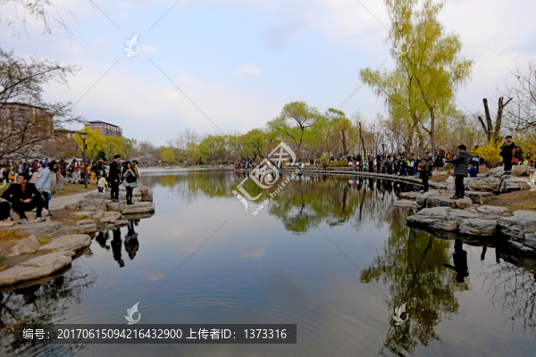 玉淵潭公園風(fēng)光