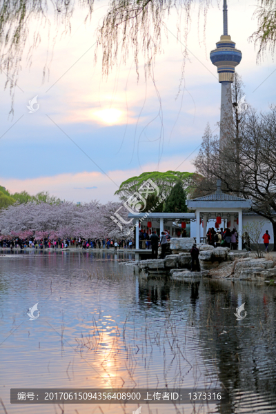 玉淵潭公園風(fēng)光
