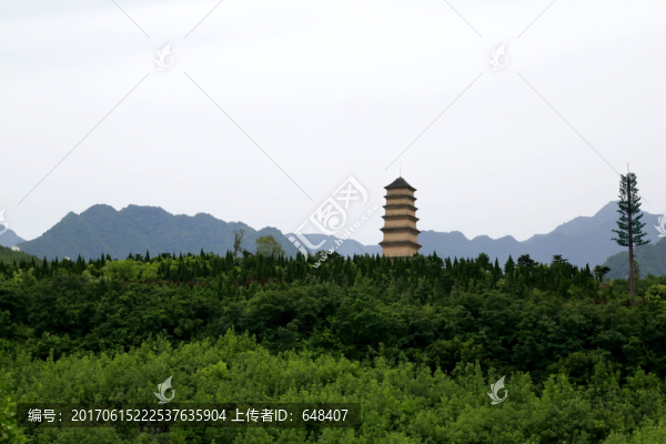 寶塔,塔,佛塔,仙游寺,法王塔