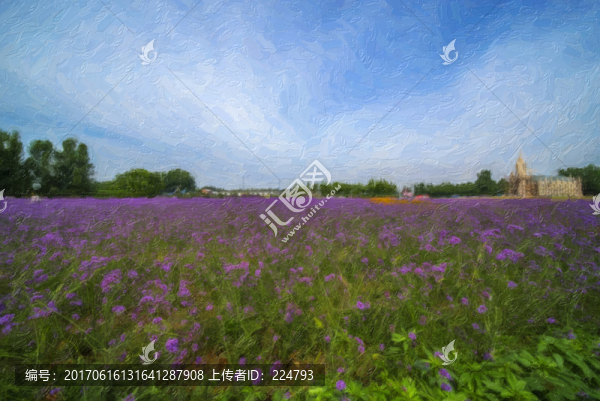 油畫(huà)紫緣香草園風(fēng)光