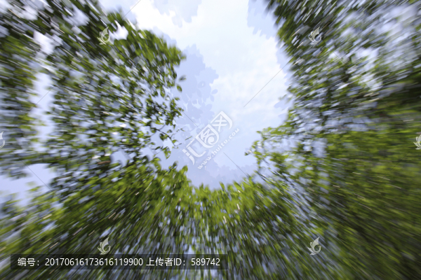 流動綠葉