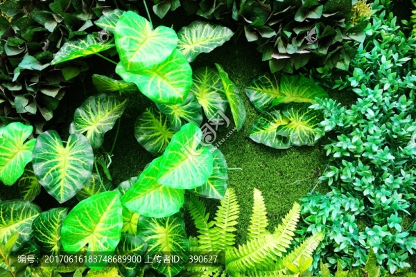 綠植墻