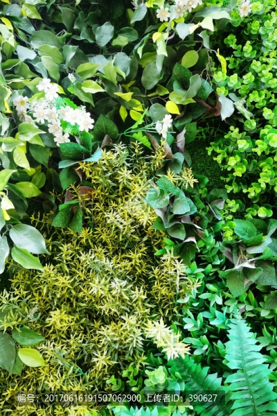 綠植墻