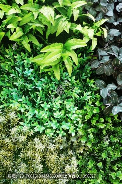 仿真綠植墻