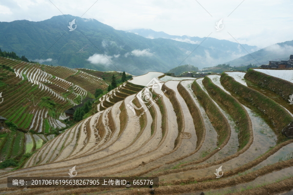 龍脊梯田