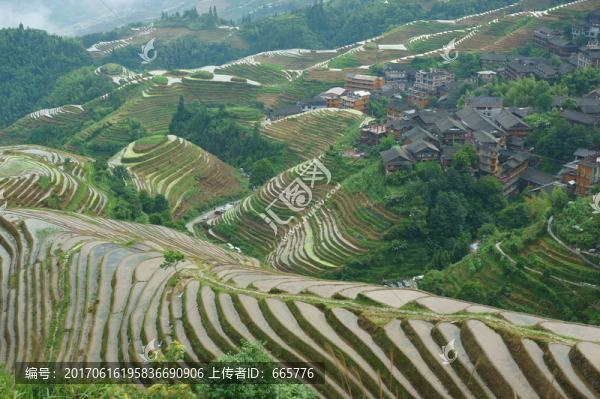龍脊梯田