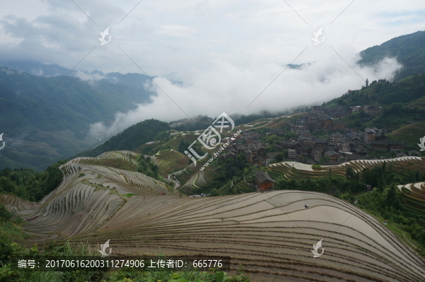 龍脊梯田