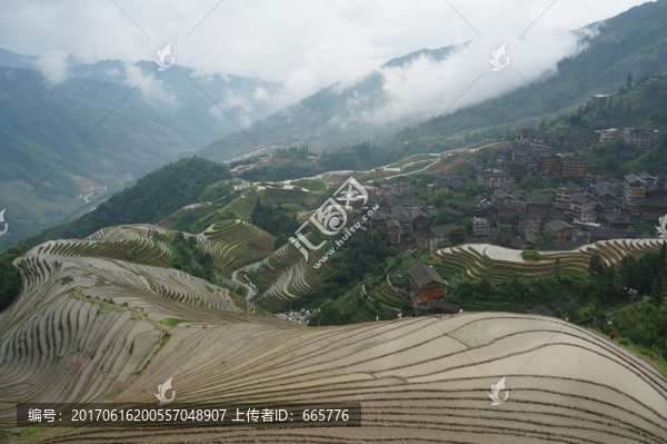 龍脊梯田