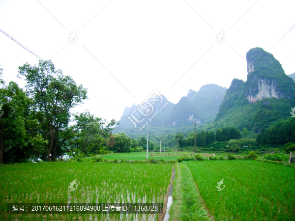 興坪陽朔,漓江徒步,農田