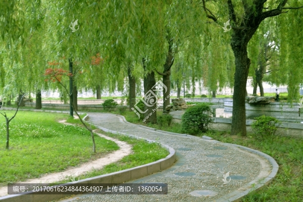園林,風景