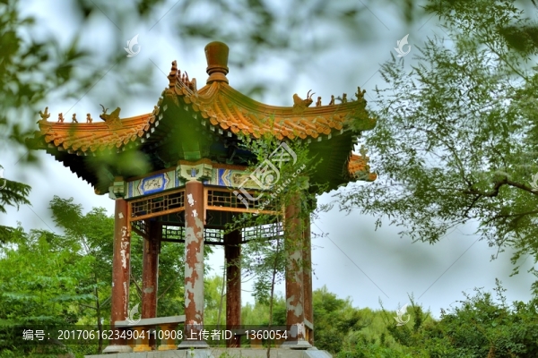 園林,建筑,風景