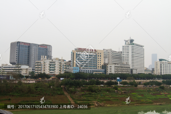 江邊菜地,菜地