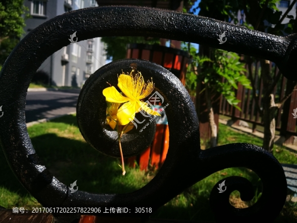 午后陽(yáng)光