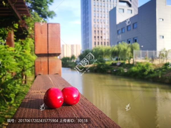 午后陽光
