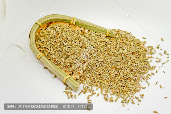 小茴香,高清大圖