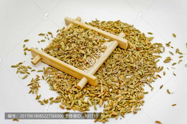 小茴香,高清大圖
