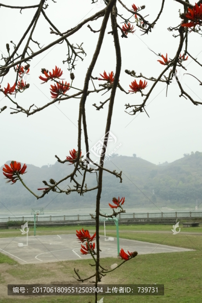 李莊古鎮(zhèn)