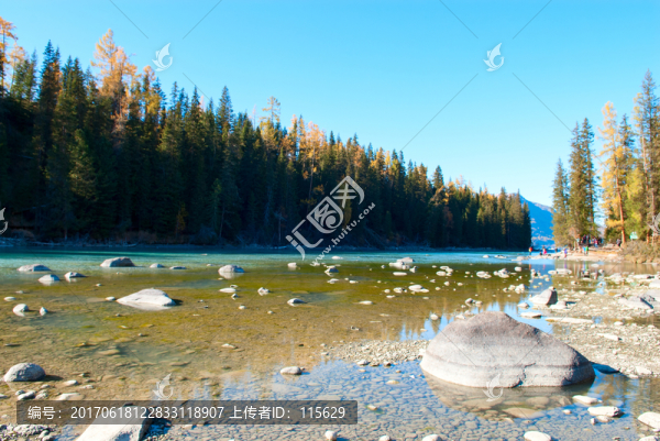金秋喀納斯,新疆風景