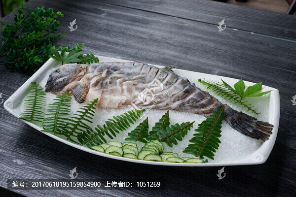 海參斑