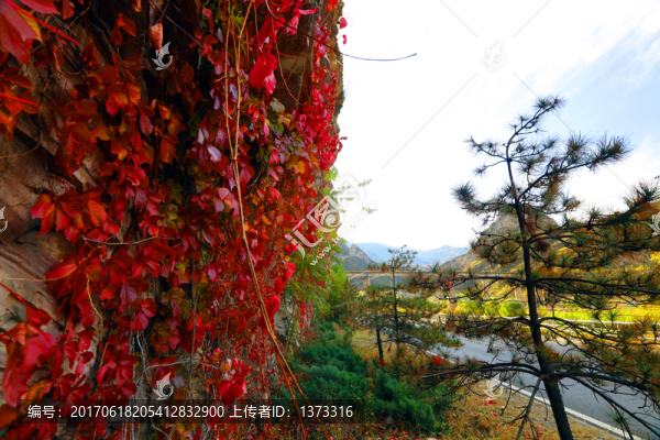 京西景觀