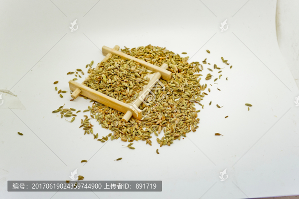 小茴香,茴香子,茴香籽,茴香素